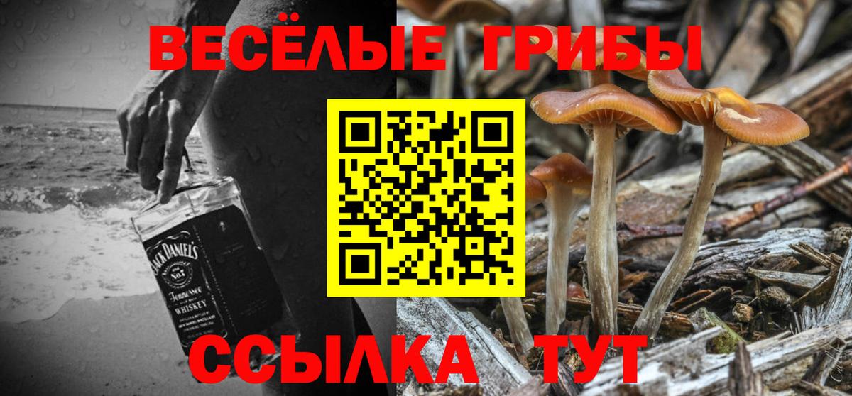 Псилоцибиновые грибы ЛСД  Псилоцибиновые грибы мухоморы  Вход с VPN  Новоалтайск 
